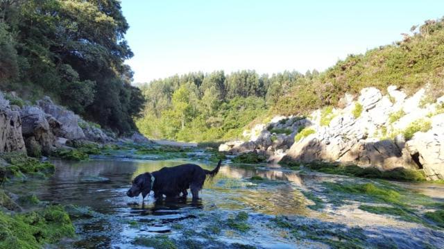 Apartamento Rural Lago Ercina Appartement Onís Buitenkant foto